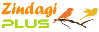 Zinadagi Plus Logo